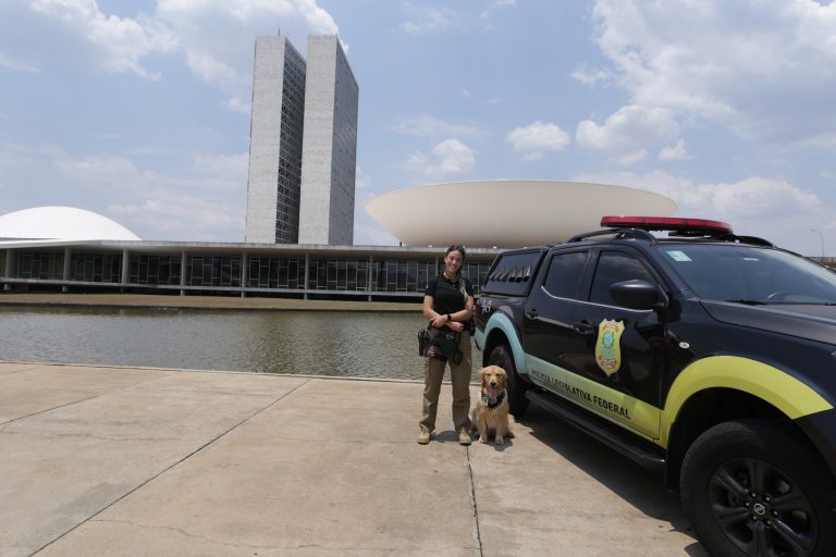 Depol treina Golden Retriever para reforçar a segurança na Casa
