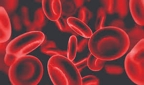 Doação de sangue e medula óssea (REPRISE)