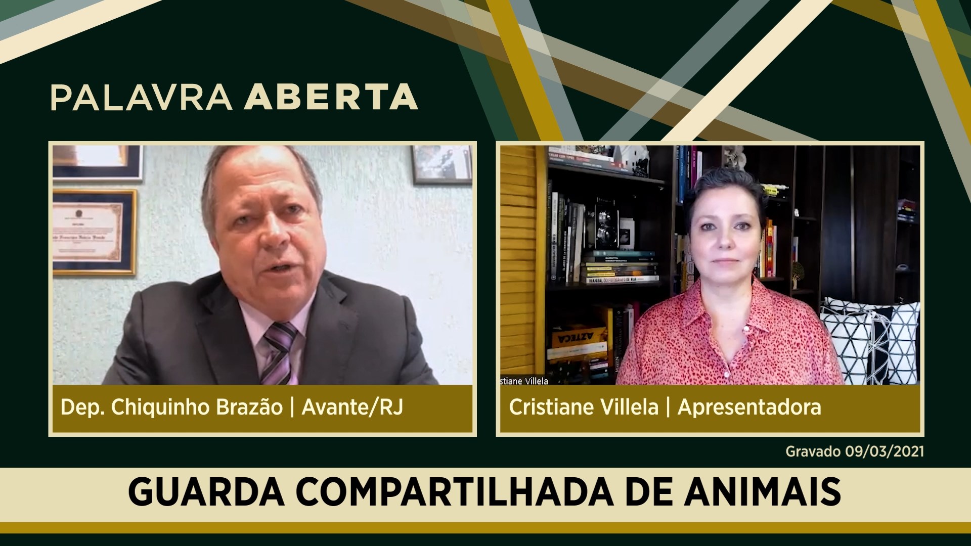 Guarda compartilhada de animais