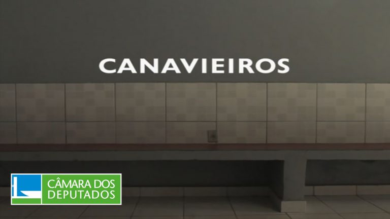 Canavieiros