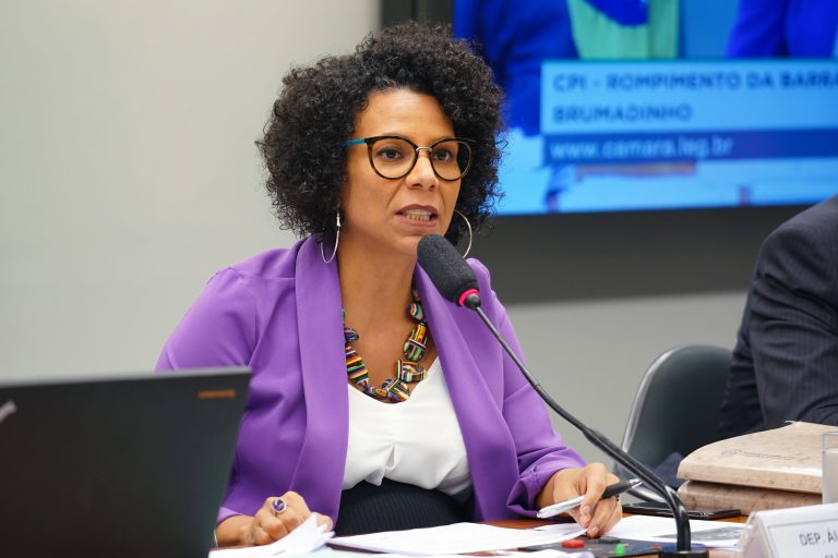 Audiência Pública - Tema: Discussão e Votação do Relatório. Dep. Áurea Carolina (PSOL-MG)