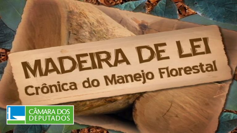 Madeira de Lei