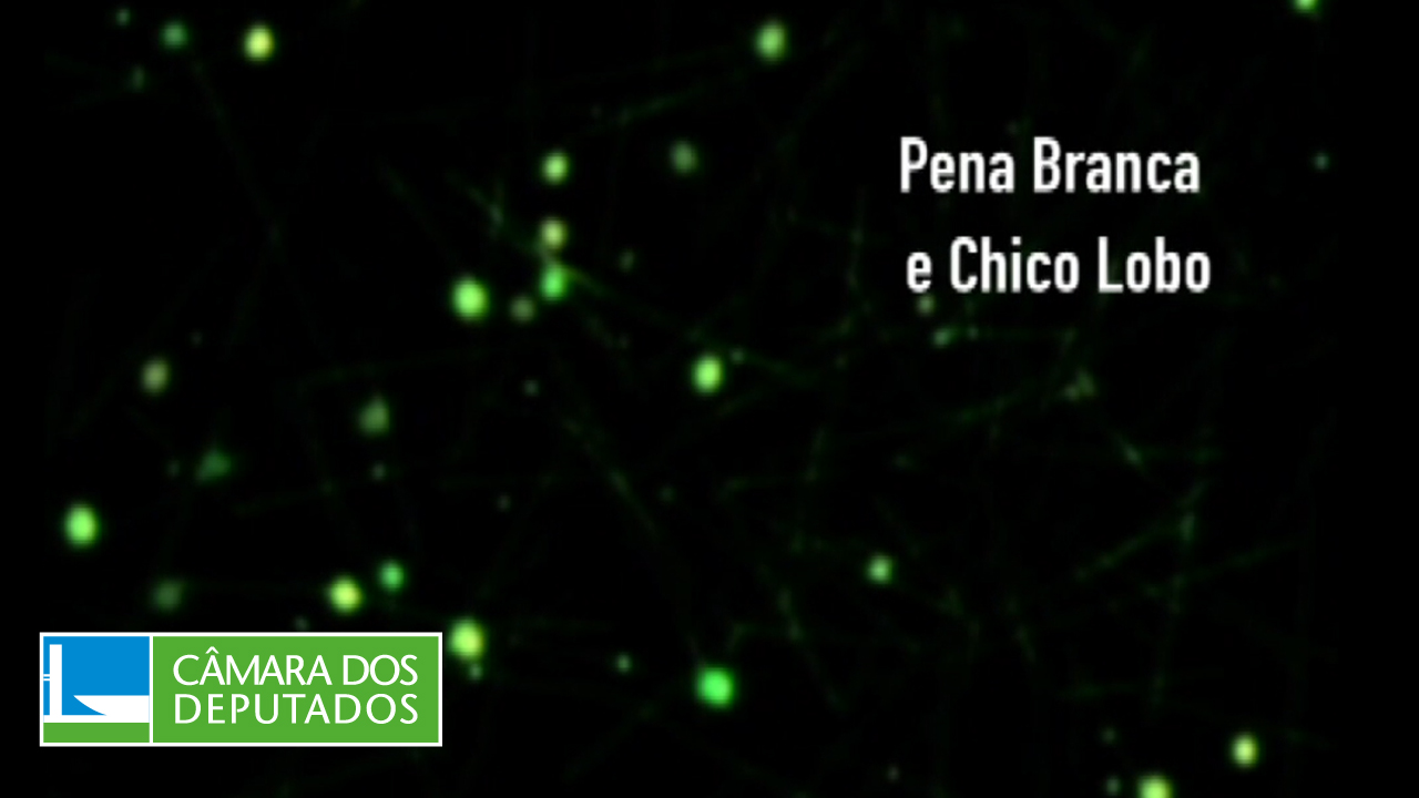 Homenagem a Pena Branca