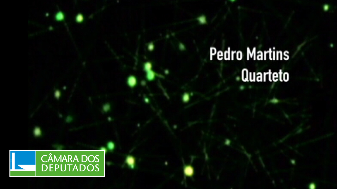 Pedro Martins, compositor e multi-instrumentista