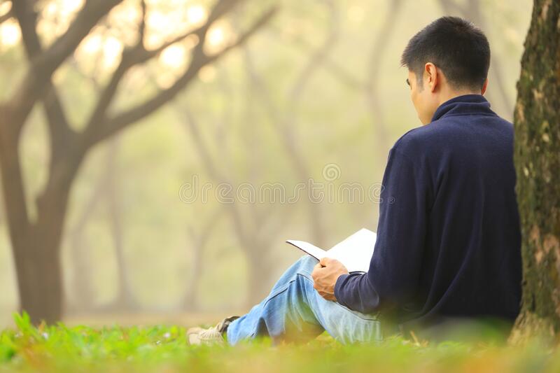 Alpinismo literário