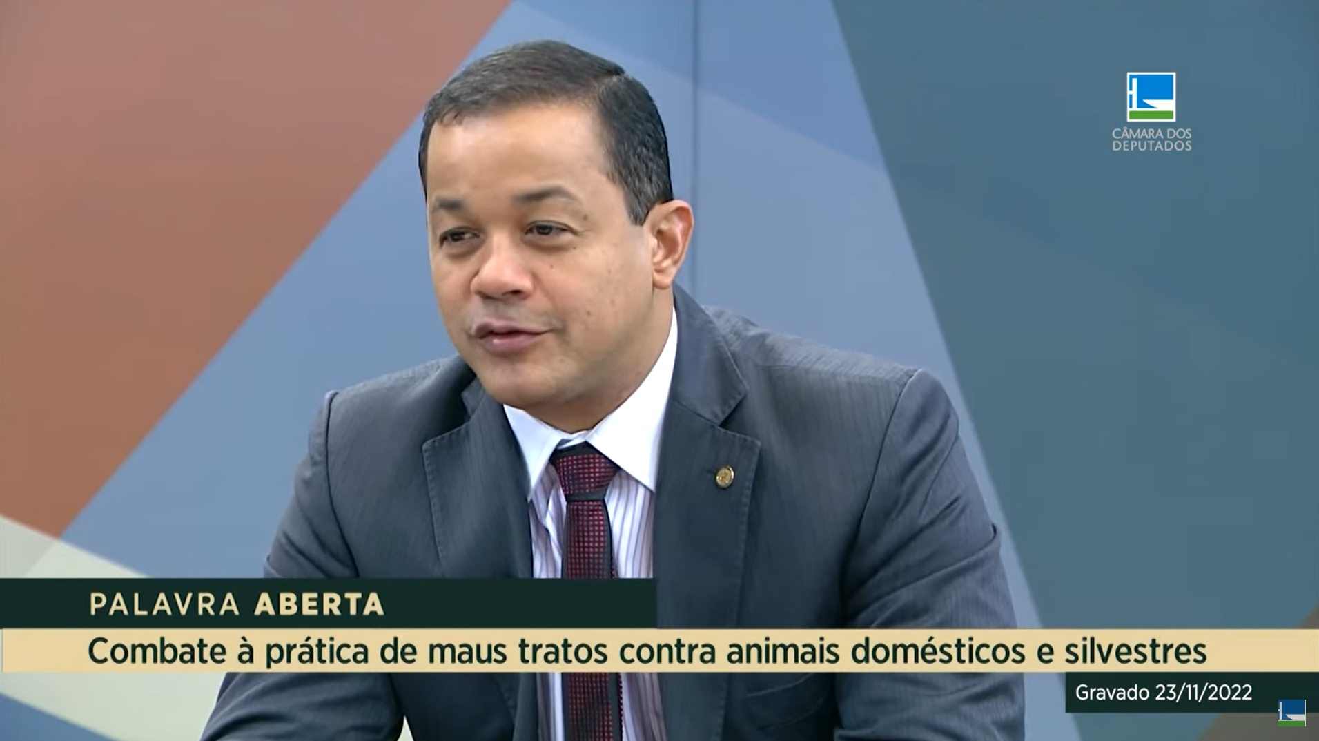 Combate aos maus-tratos a animais domésticos e silvestres