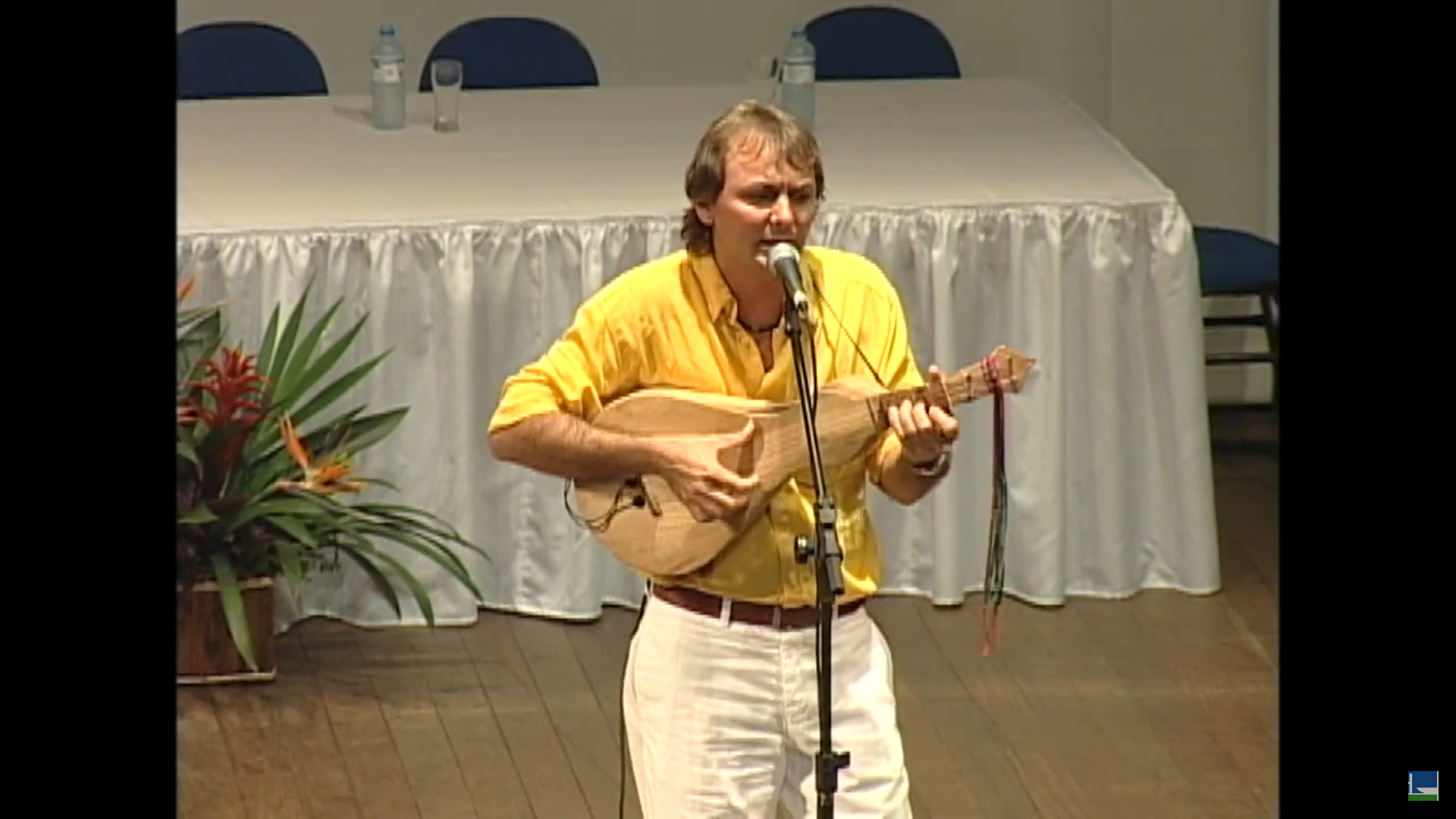 Pequeno Panorama da Viola