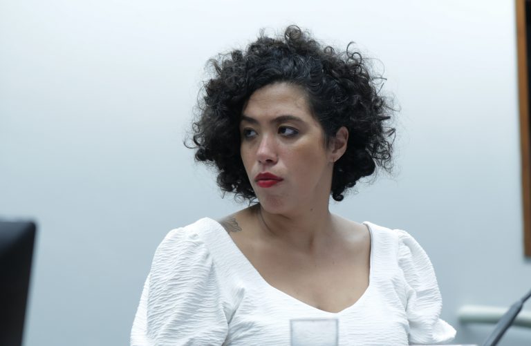 Audiência Pública - A tragédia de Petrópolis e medidas de prevenção para o período de chuvas. Dep. Talíria Petrone (PSOL - RJ)