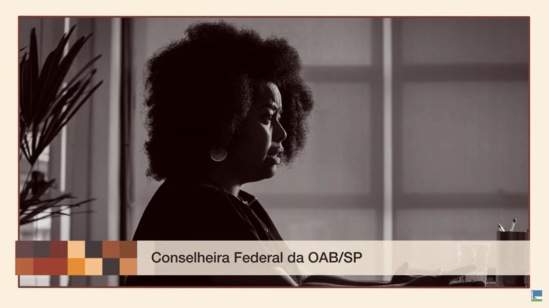 Afirmativas! A História das Cotas no Brasil - Silvia de Souza