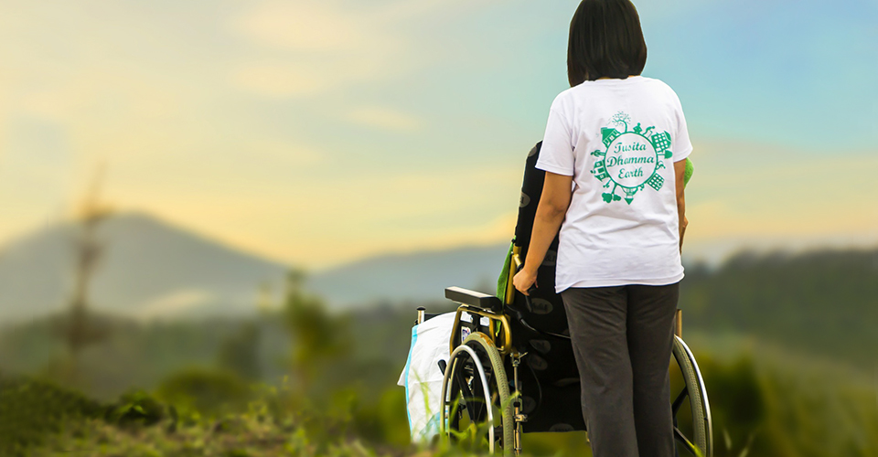 Cuidando dos cuidadores 2