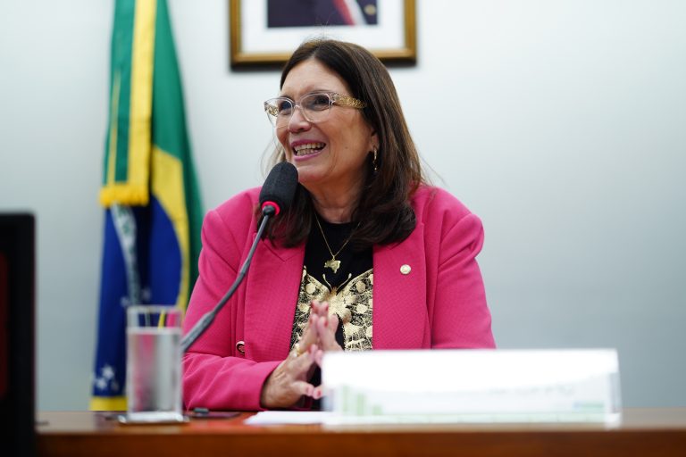 Reunião de Instalação e Eleição do Presidente e Vice-Presidente. Dep. Bia Kicis (PL - DF)