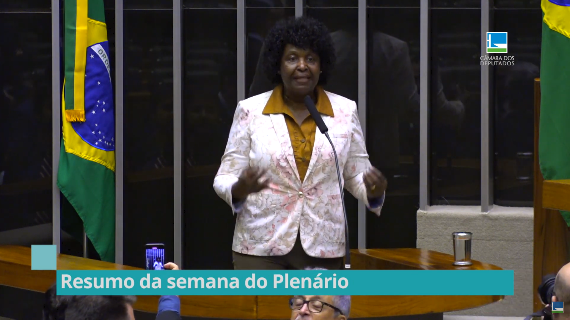 Resumo do Plenário - Veja as votações da semana