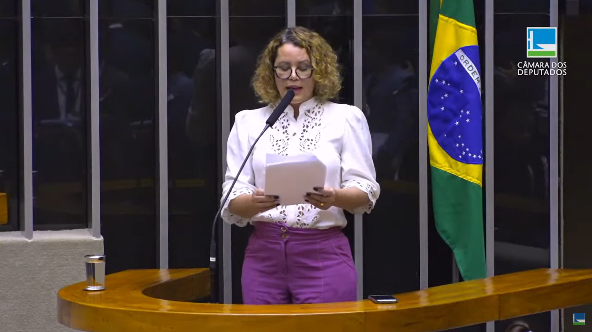 Direto da Câmara traz o resumo das votações da semana no Plenário