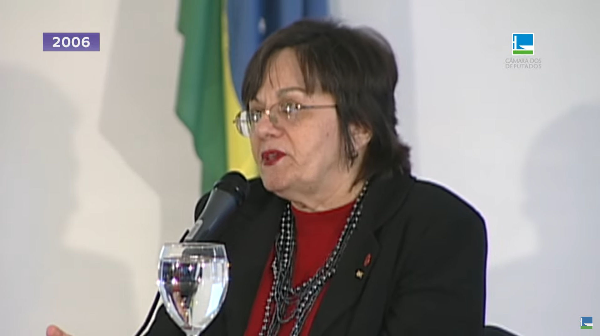 TV Câmara 25 anos - Lei Maria da Penha