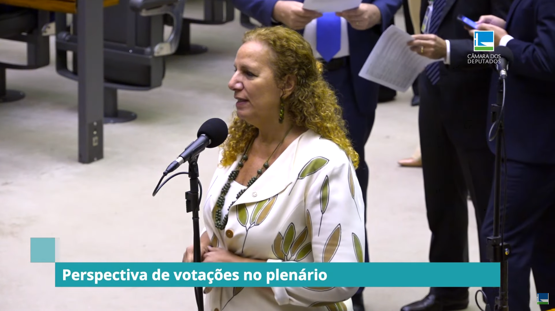 Agenda do Plenário - Veja o que pode ser votado esta semana - 11/06/23