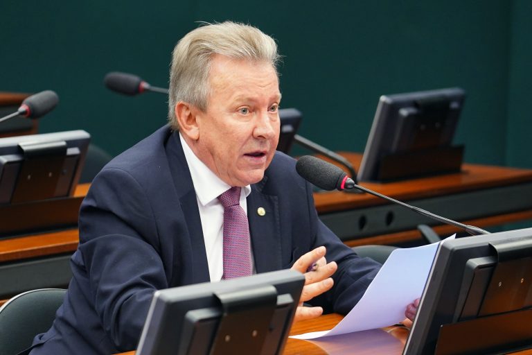 Audiência Pública - Tema: Comercialização de Pneus Remold. Dep. Celso Maldaner (MDB - SC)