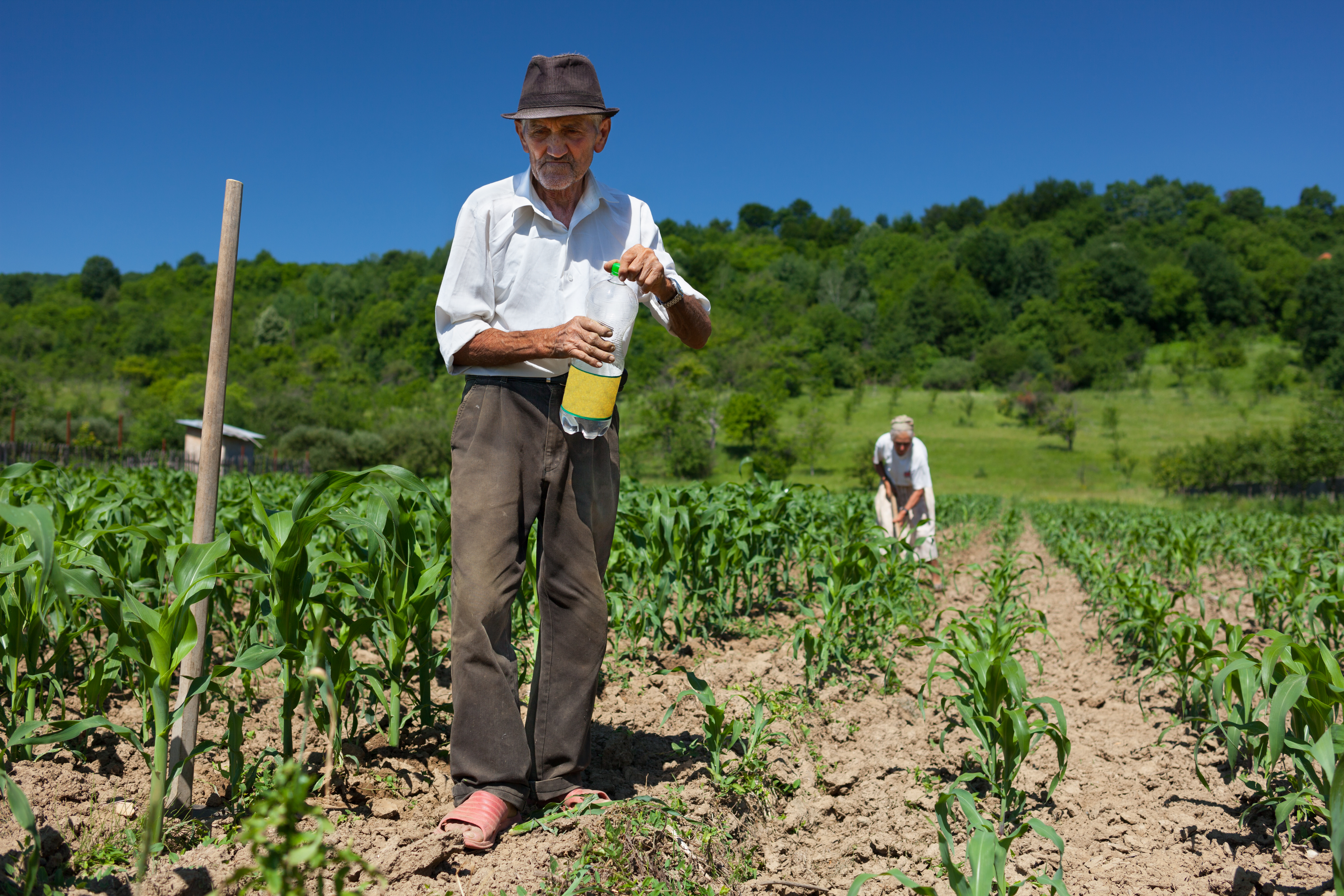 Homem do Campo