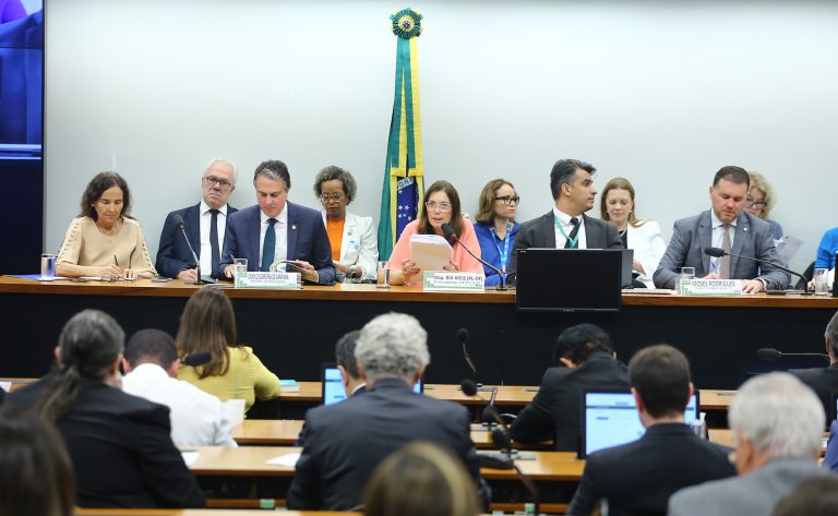 ministro camilo santana participa de audiência pública