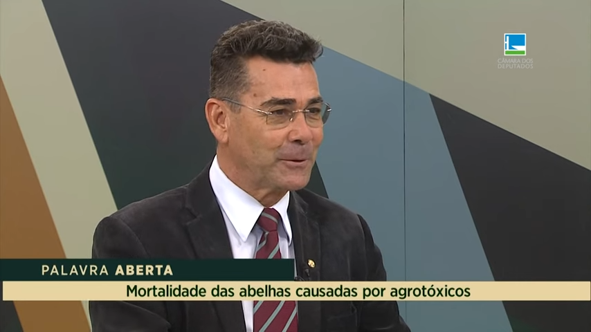 Padre João fala sobre mortalidade das abelhas causadas por agrotóxicos