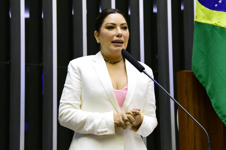 Deputada Renilce Nicodemos fala ao microfone