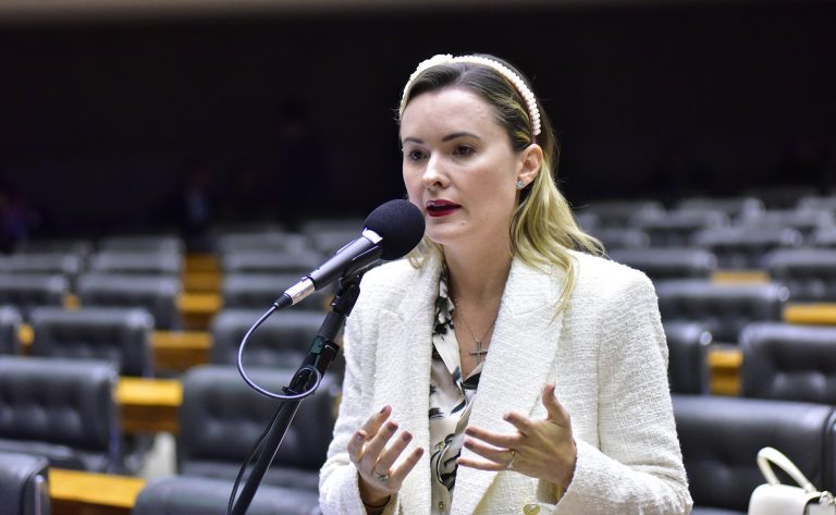 Julia Zanatta fala durante sessão do Plenário