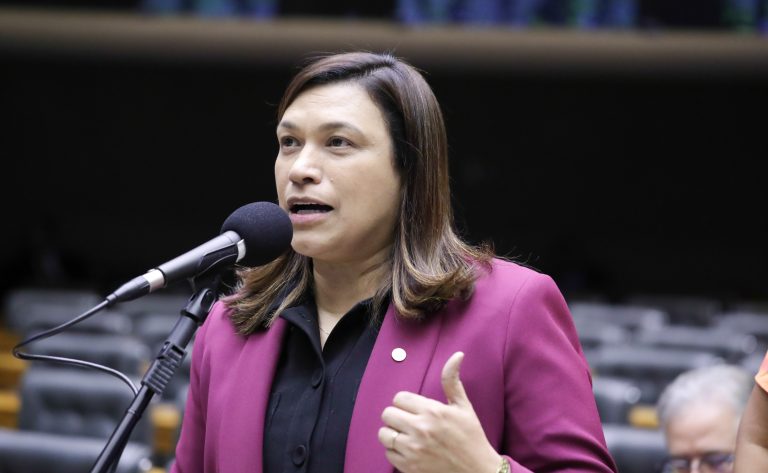 Discussão e votação de propostas. Dep. Maria Rosas (REPUBLICANOS - SP)