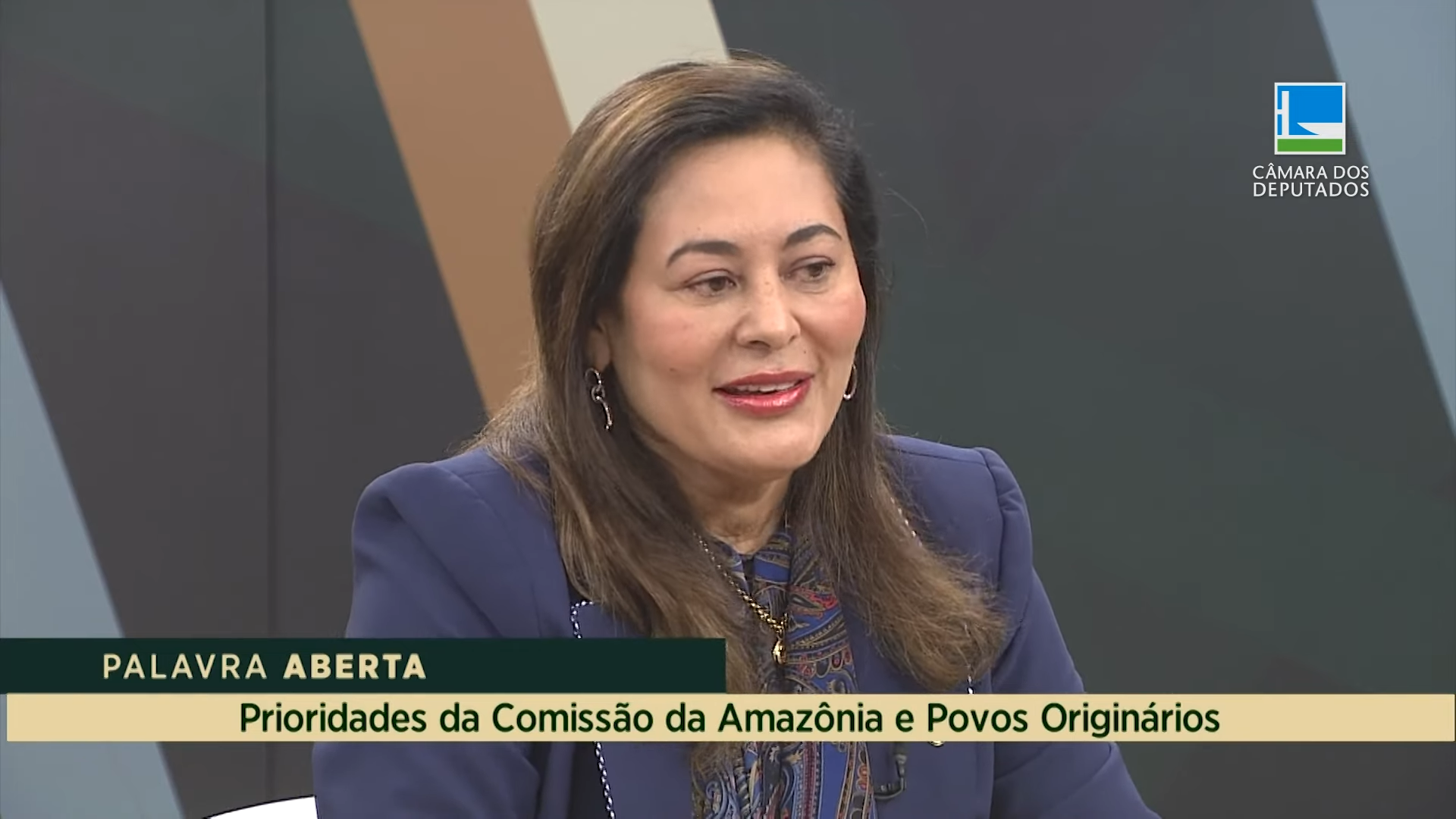 Dilvanda Faro defende prioridades da Comissão da Amazônia e Povos Originários