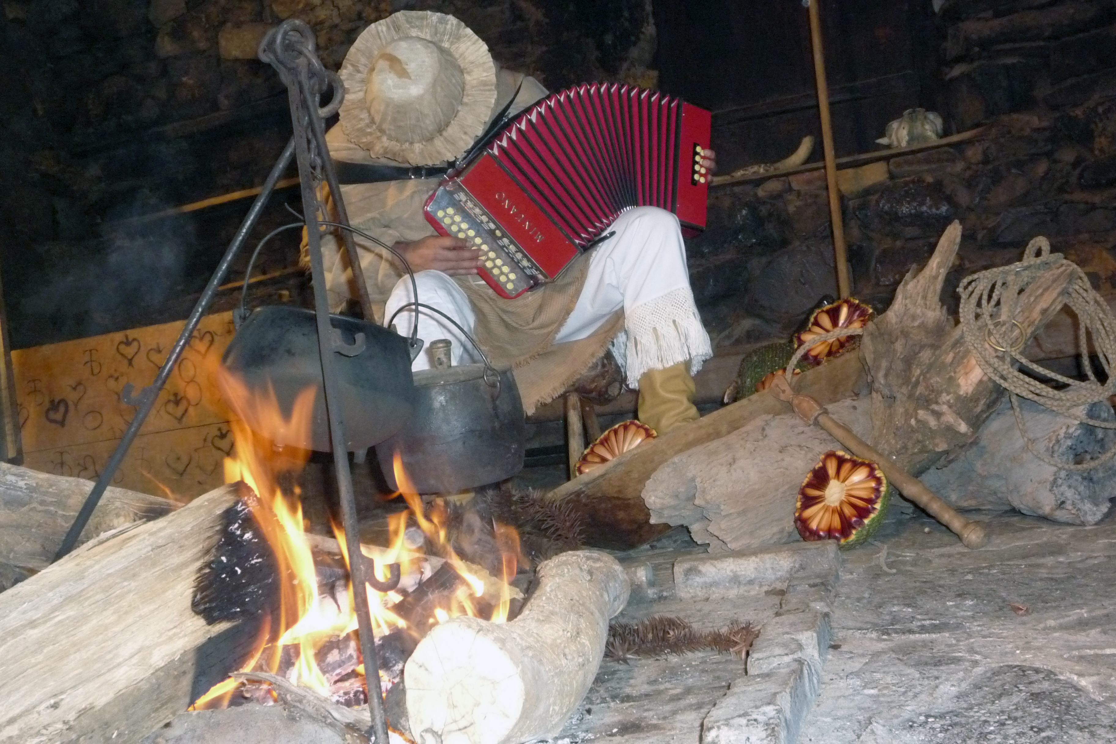 Cultura regional - Sul