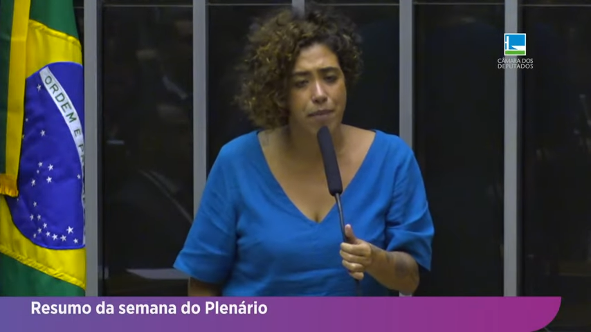 Resumo do Plenário - Veja as votações da semana