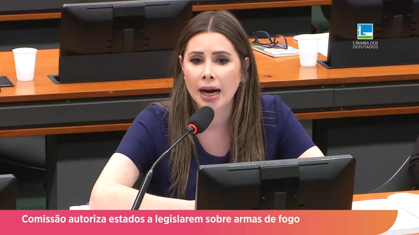 Comissão autoriza estados a legislarem sobre armas de fogo