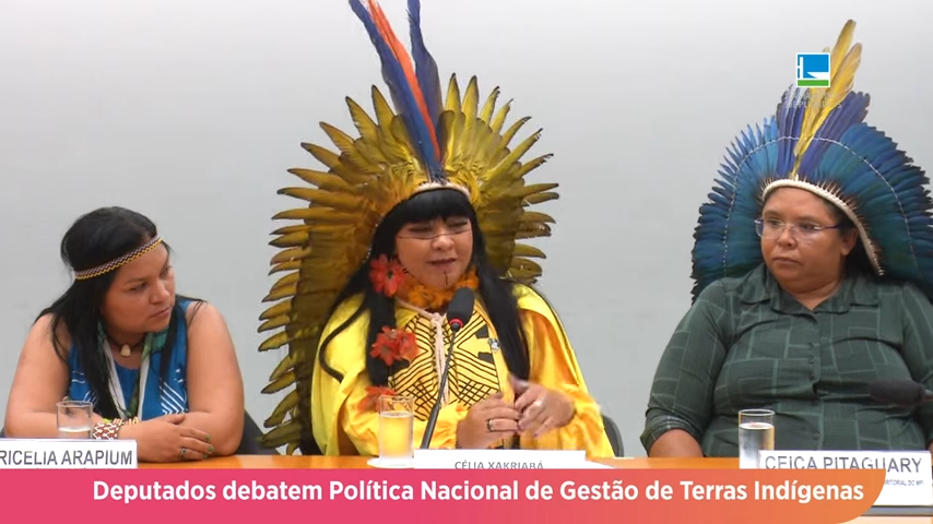 Deputados debatem Política Nacional de Gestão de Terras Indígenas