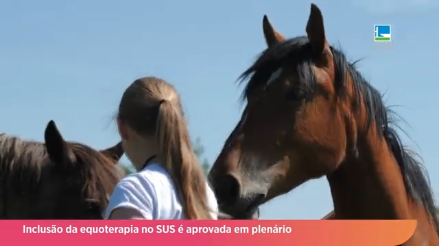 Câmara aprova inclusão da equoterapia entre as modalidades terapêuticas do SUS
