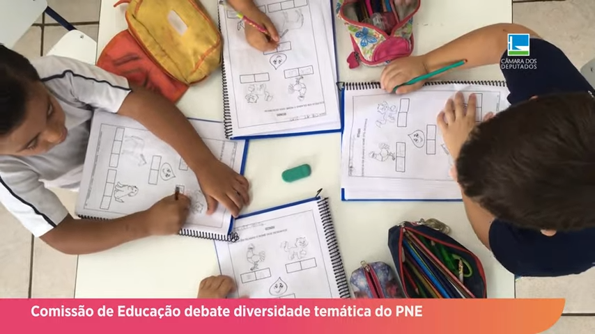 Comissão de Educação debate diversidade temática do PNE