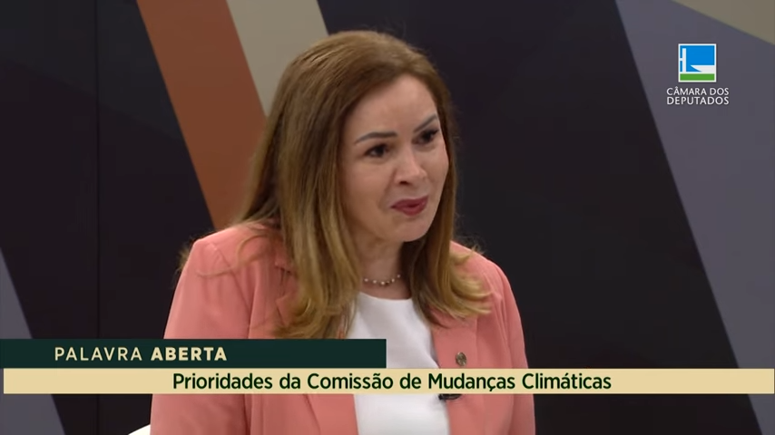Socorro Neri comenta prioridades da Comissão de Mudanças Climáticas