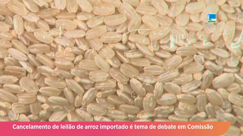 Cancelamento de leilão de arroz importado é tema de debate em comissão - 18/06/24