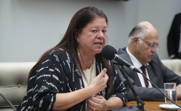 Seminário - Celebração do 30º aniversário do Ano Internacional da Família. Dep. Laura Carneiro (PSD-RJ)