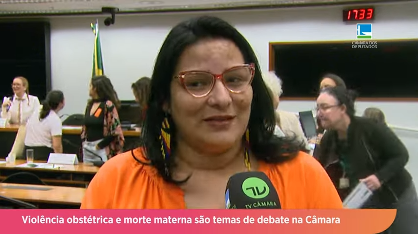 Violência obstétrica e morte materna são temas de debate na Câmara - 14/06/24