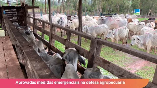 Aprovadas medidas emergenciais na defesa agropecuária