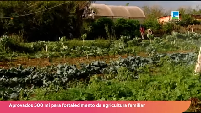 Aprovados 500 mi para fortalecimento da agricultura familiar