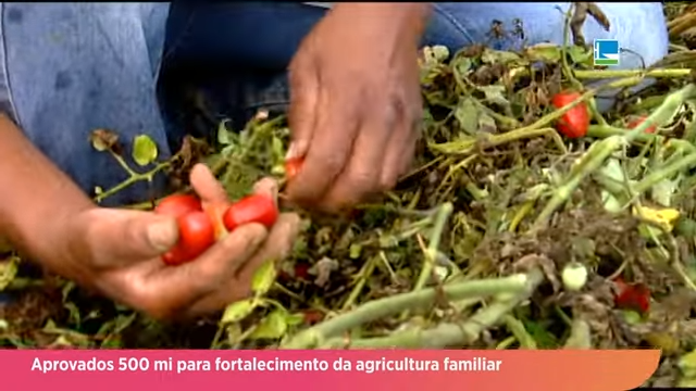 Câmara aprova mais recursos para garantir crédito à agricultura familiar