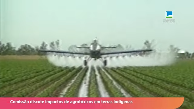 Impactos de agrotóxicos em terras indígenas é tema de debate em Comissão