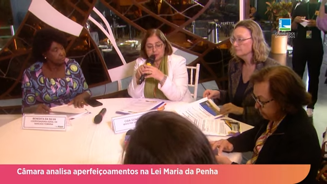 Lei Maria da Penha é analisada para aperfeiçoamentos na Câmara