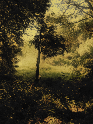 Câmara apresenta sexta edição da mostra fotográfica Quadrantes