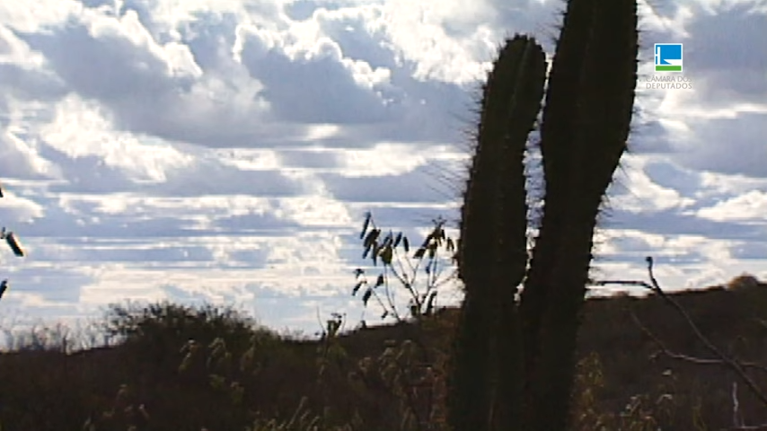 Seca na Bahia é tema de audiência pública em Salvador
