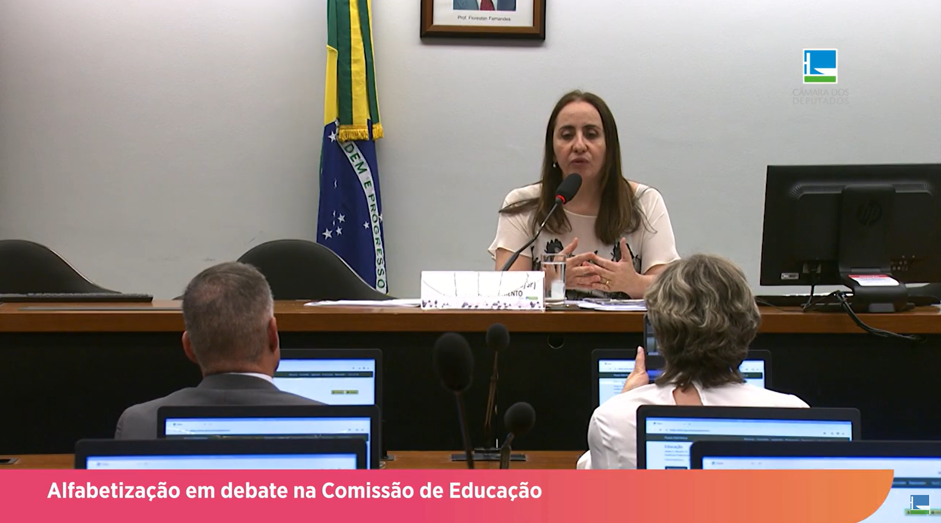 Alfabetização em debate na Comissão de Educação