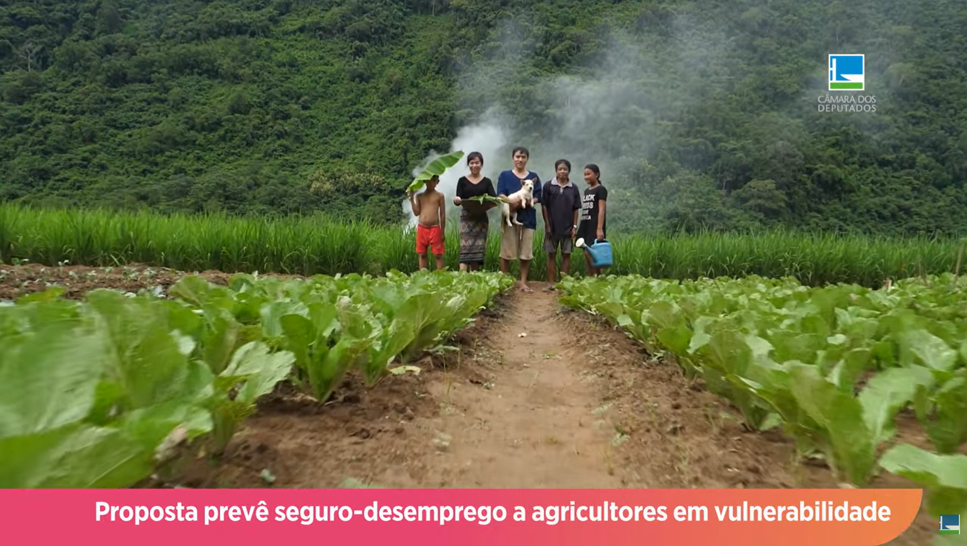 Proposta prevê seguro-desemprego a agricultores em vulnerabilidade