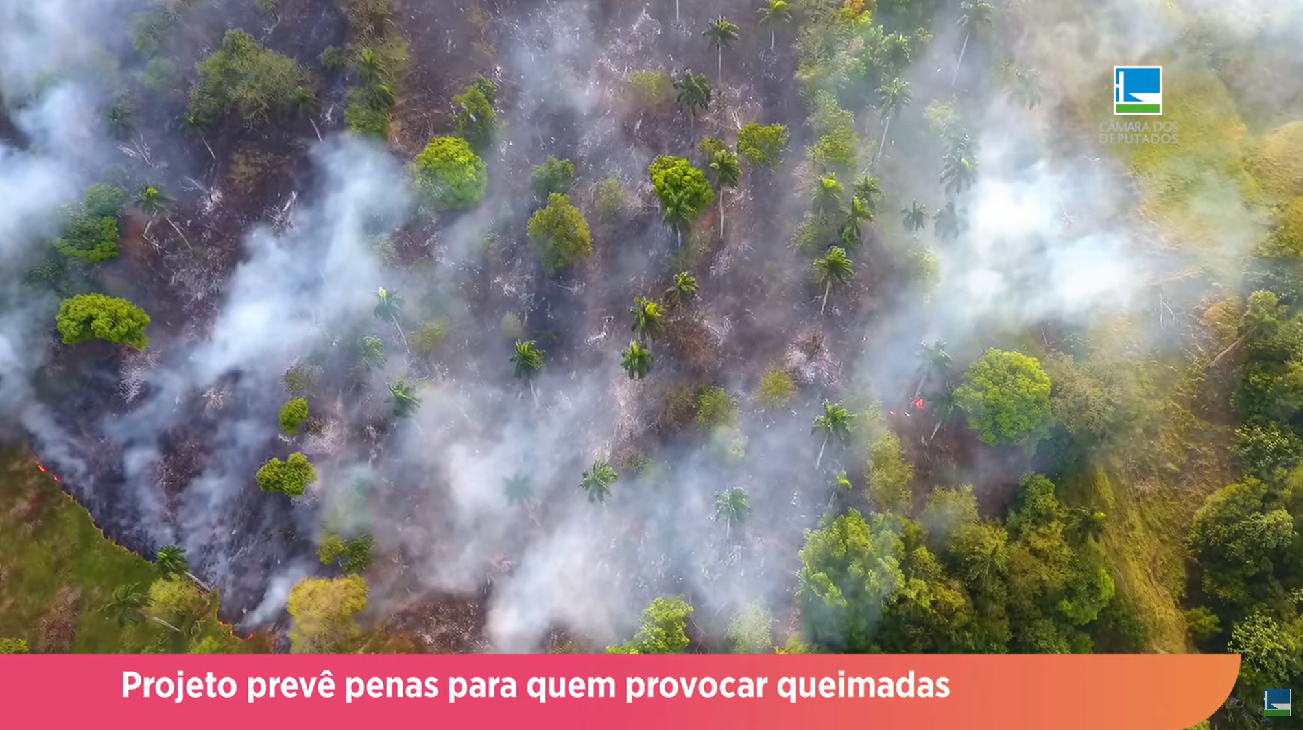 Projeto prevê penas para quem provocar queimadas