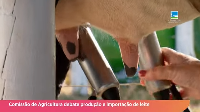 Crescimento da produção e importação do leite são discutidos na Comissão de Agricultura