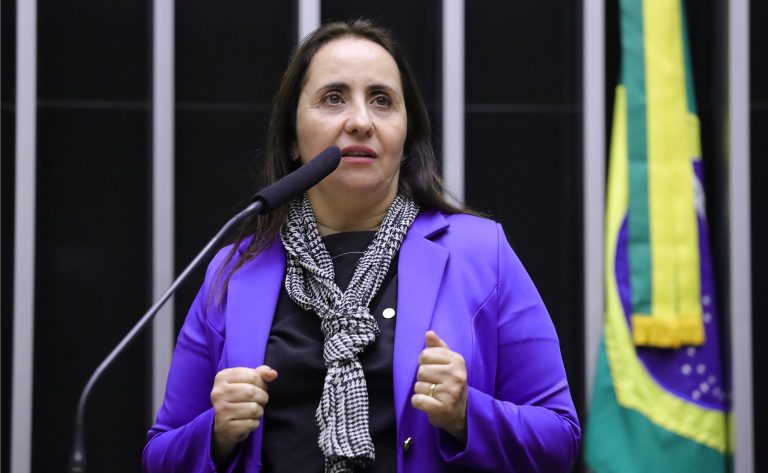 Deputada Adriana Ventura fala ao microfone