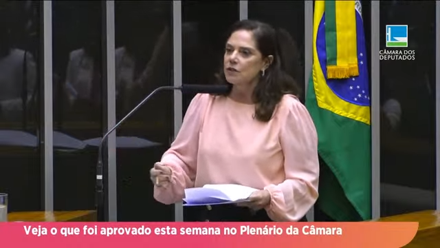 Direto da Câmara - Confira as aprovações da semana no Plenário da Câmara